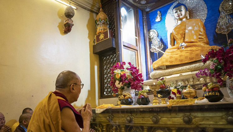 Дээрхийн Гэгээнтэн Далай Лам Бодьгаяа дахь Бодь сувраганы шүтээнд мөргөж байгаа нь. Энэтхэг, Бихар, Бодьгаяа. 2020.01.17. Гэрэл зургийг Тэнзин Чойжор.