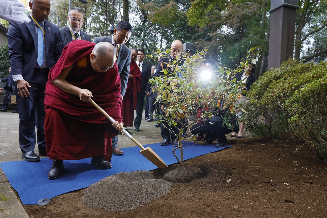 2018 11 19 Chiba gallery GG 11 20181119 MSY2361