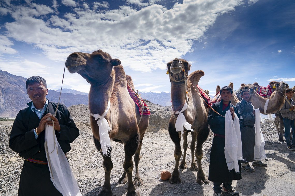 2018 07 12 Nubra Gallery GG08 SA95104