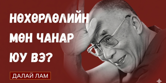 Жинхэнэ нөхөрлөлийг юу бүтээдэг вэ?