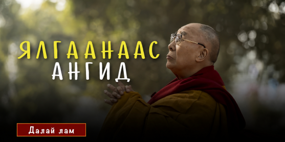 Ялгаанаас ангид